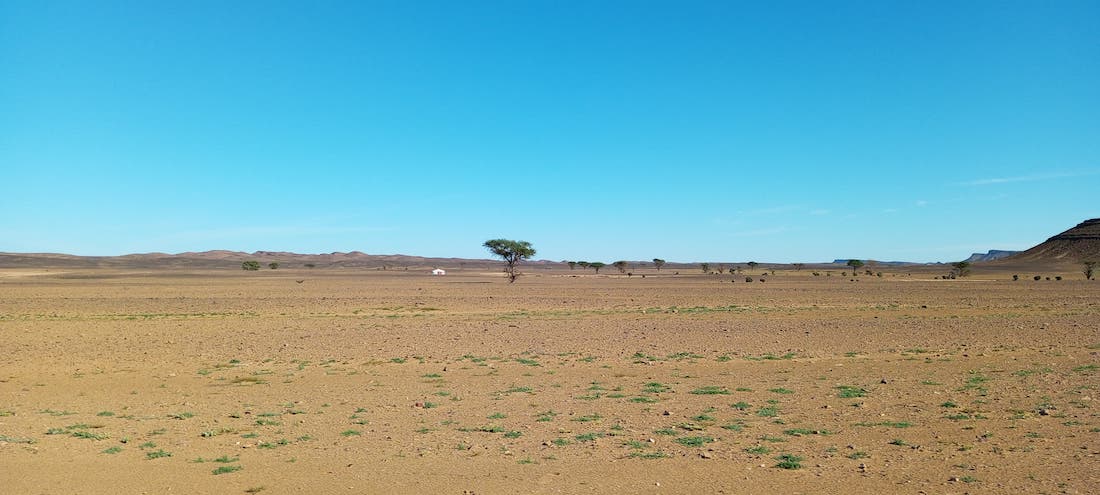 plateau_foum_zguid