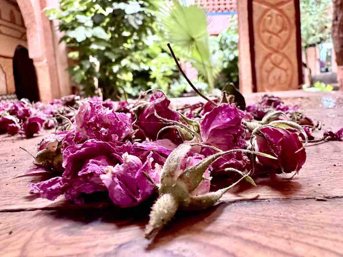 rosenblüten_klein